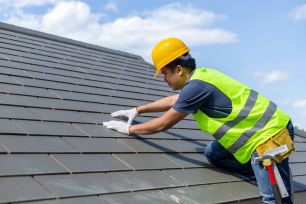 Best Affordable Roof Replacement  in Argentine, MI