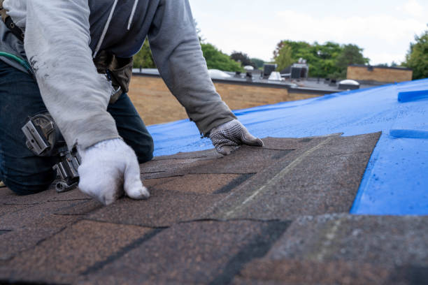 Best Roof Waterproofing Services  in Argentine, MI