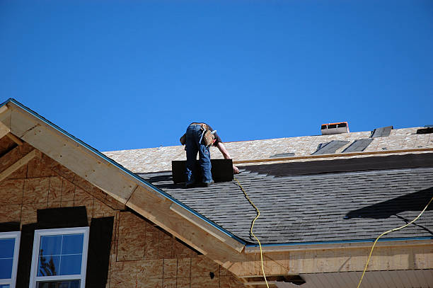 Best Flat Roof Repair Services  in Argentine, MI