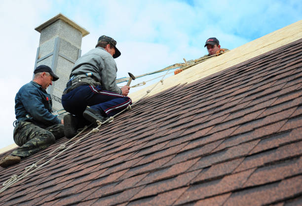 Best Emergency Roof Repair  in Argentine, MI