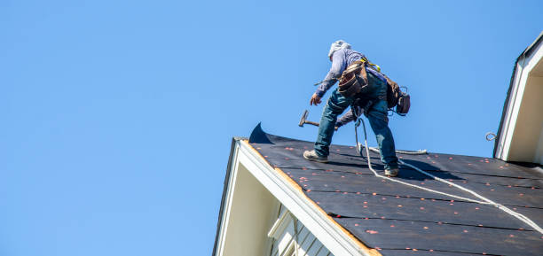 Best Storm Damage Roof Repair  in Argentine, MI